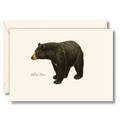 Black Bear