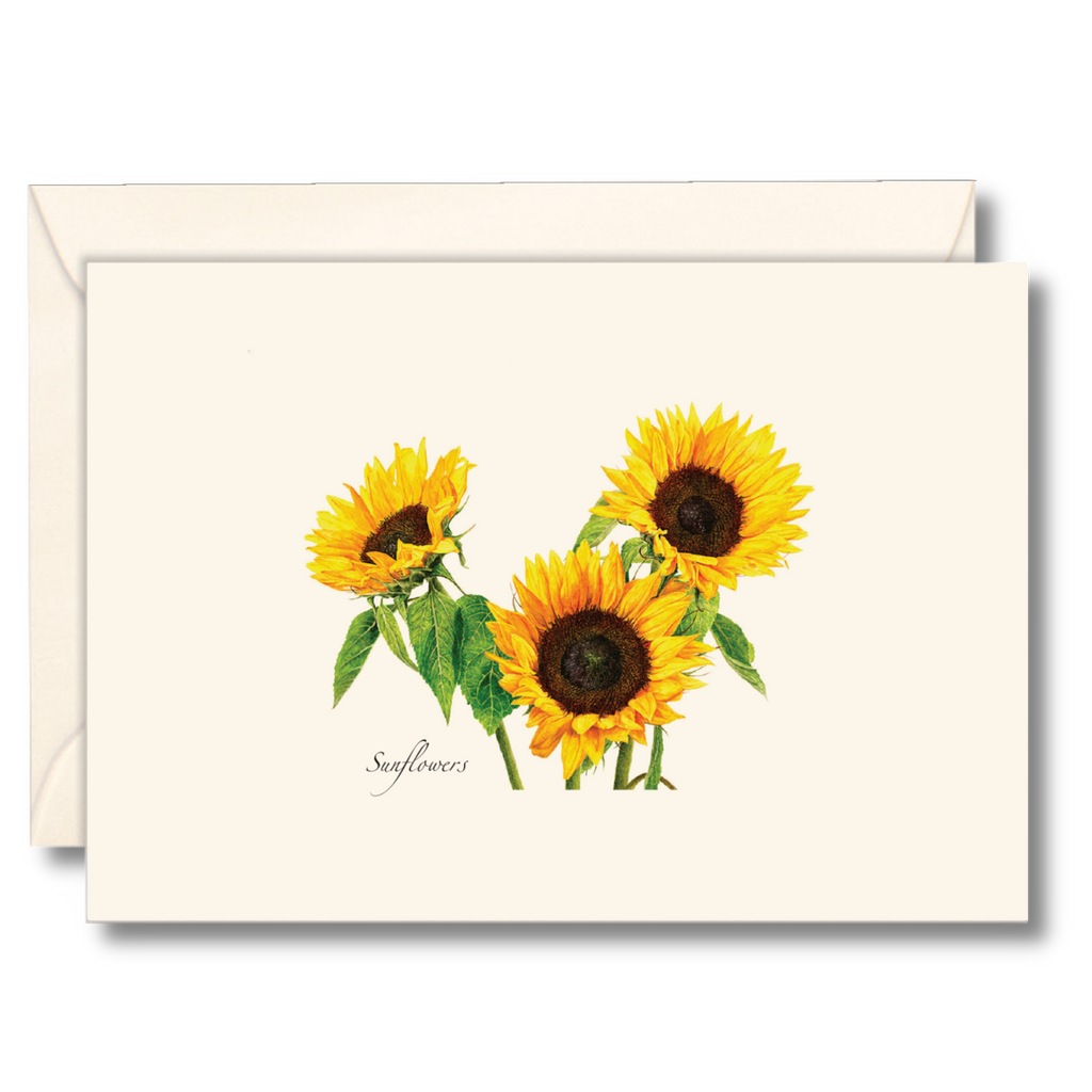 3 Sunflowers Notecard Set