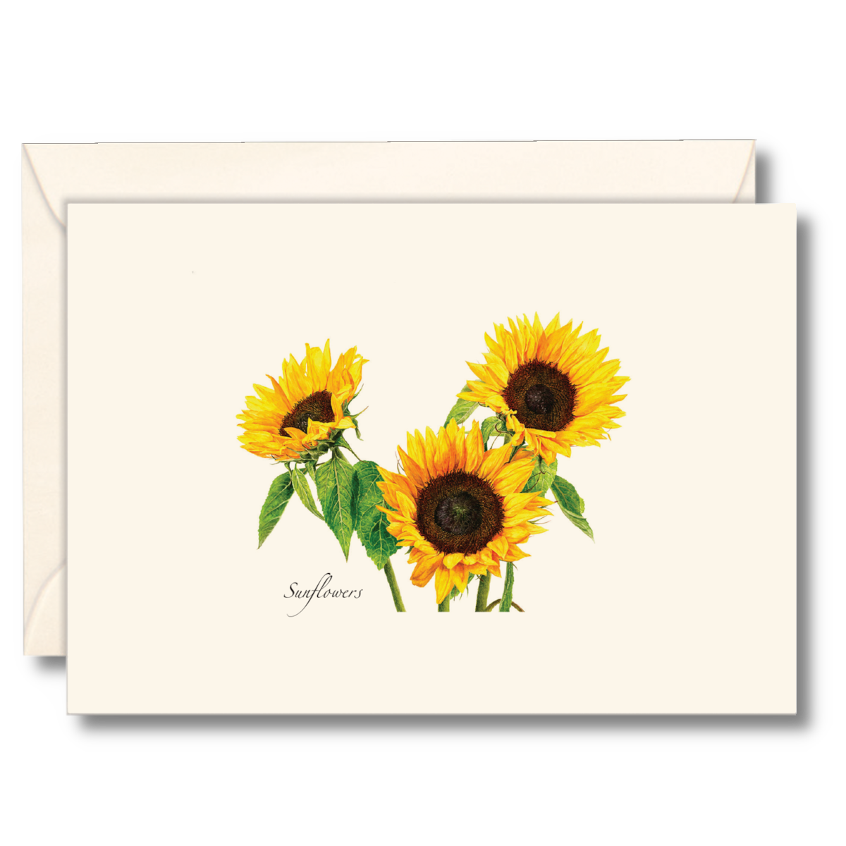 3 Sunflowers Notecard Set