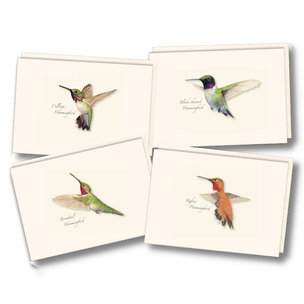 Western Hummingbird Assortment
