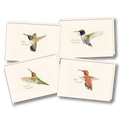 Western Hummingbird Assortment