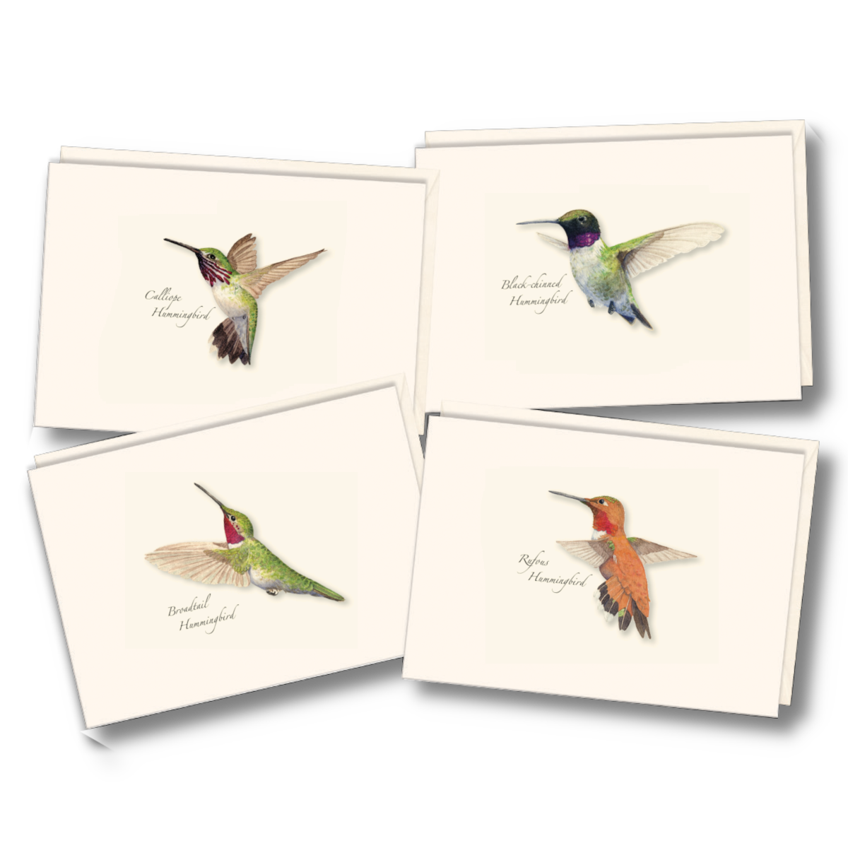Western Hummingbird Assortment