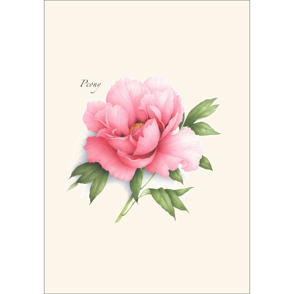 Peony Assortment