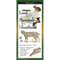 Land Mammals of the Southeast