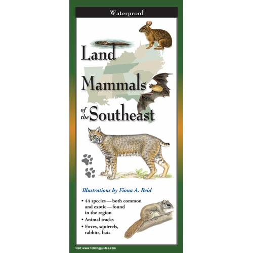 Land Mammals of the Southeast