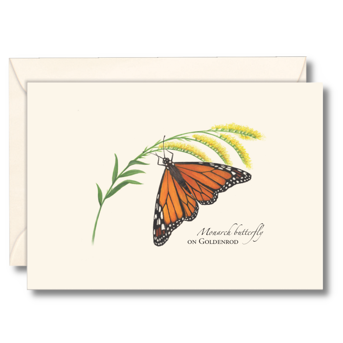 Monarch Butterfly on Goldenrod