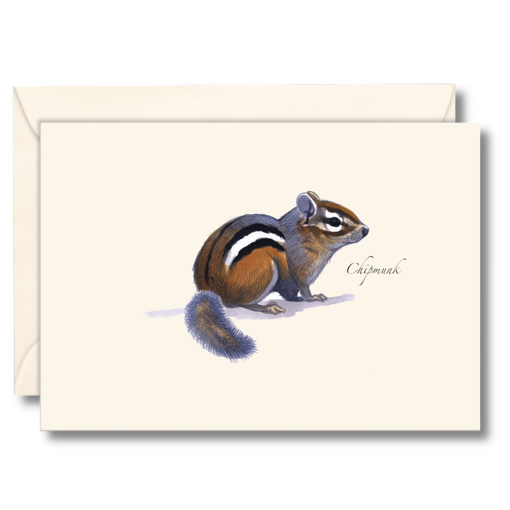 Chipmunk Notecard Set