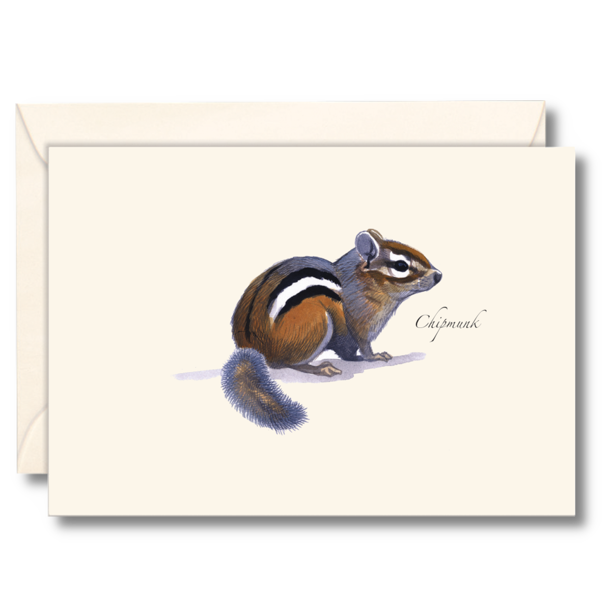 Chipmunk Notecard Set
