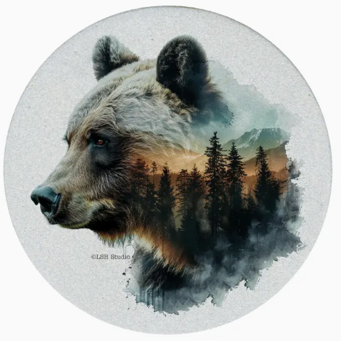 Thirstystone Coaster 4pk - Bluebonnet Fields