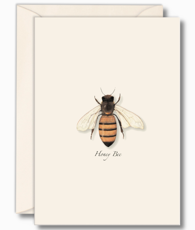 Honey Bee