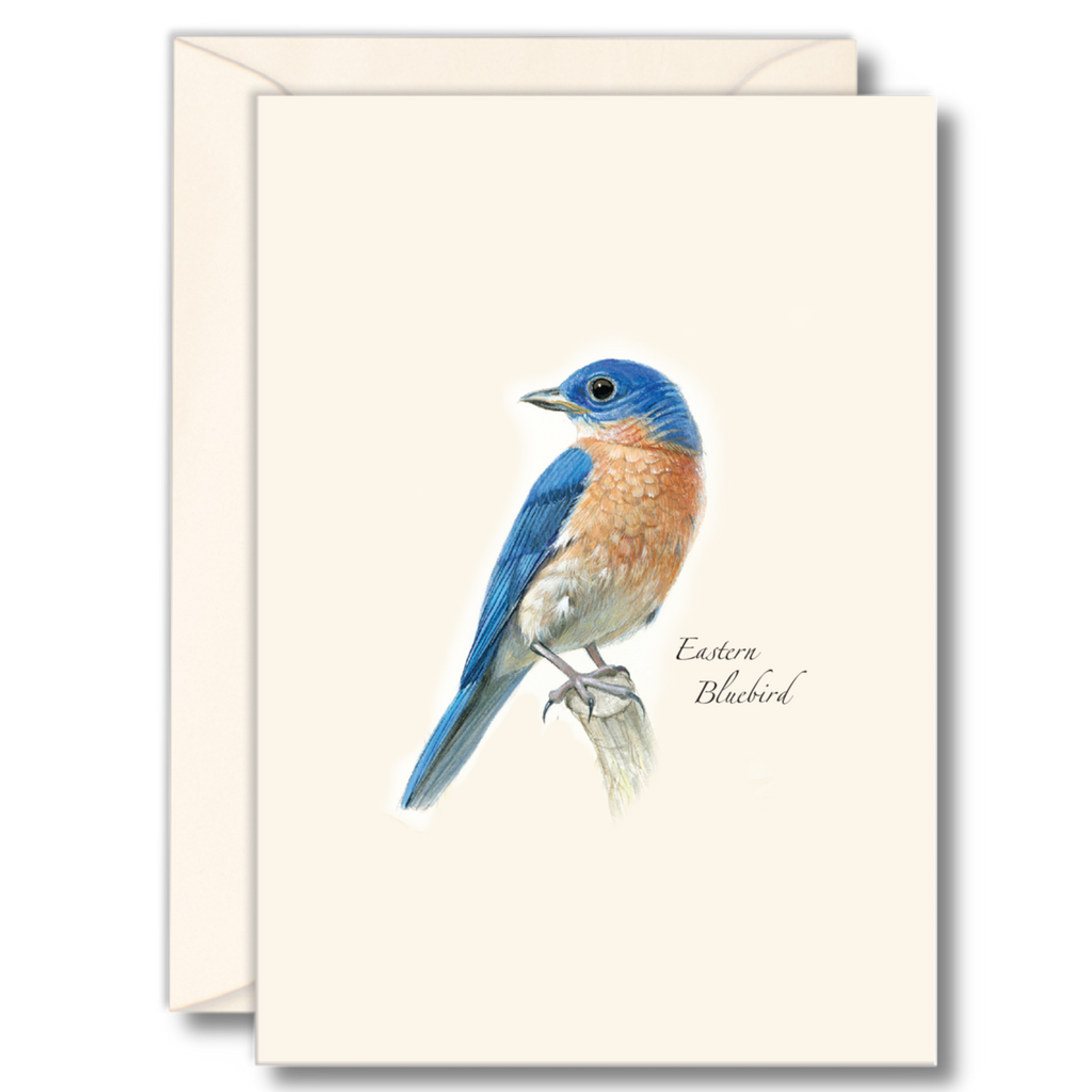 Bluebird II