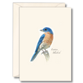 Bluebird II
