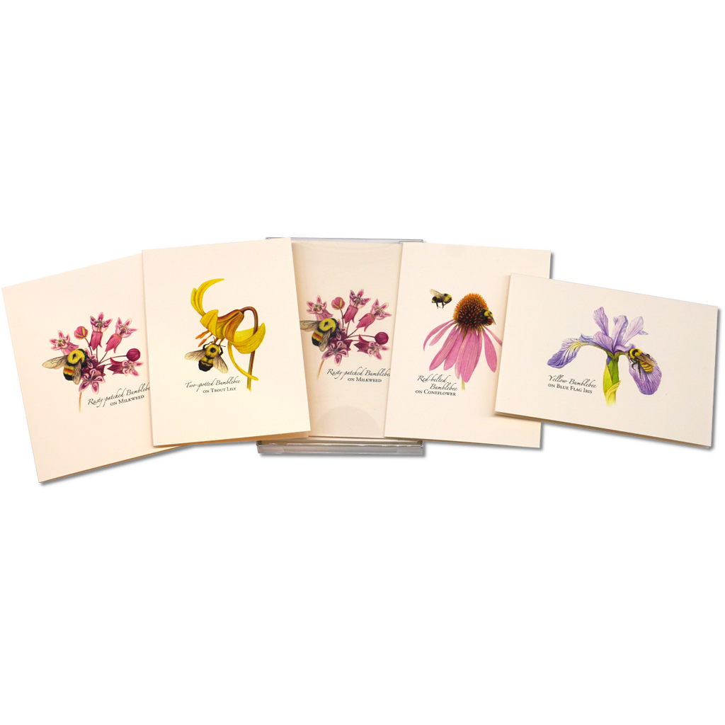 Bumblebee Assortment Notecard Set