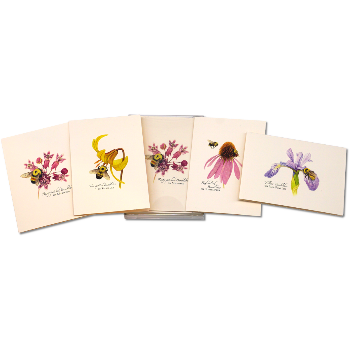 Bumblebee Assortment Notecard Set