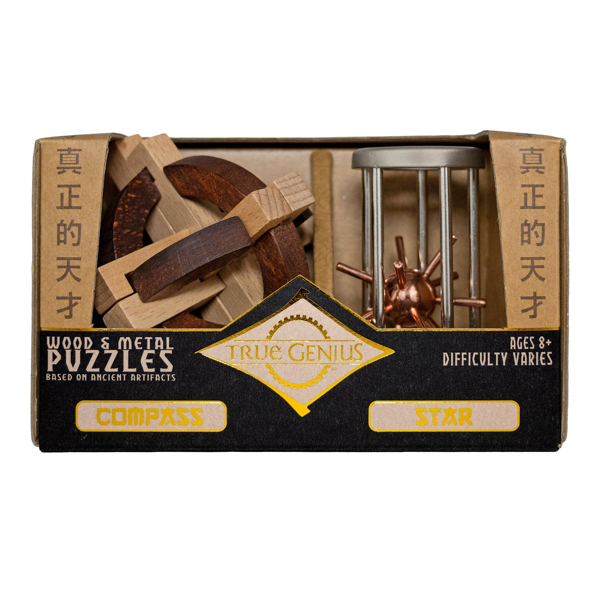Compass and Star Brainteaser Puzzle