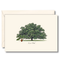 Live Oak Assorted Notecard Set