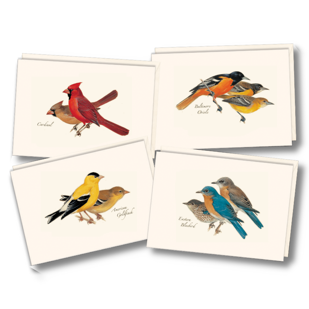 Peterson Bird Assortment