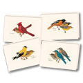 Peterson Bird Assortment
