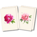 Peony Assortment