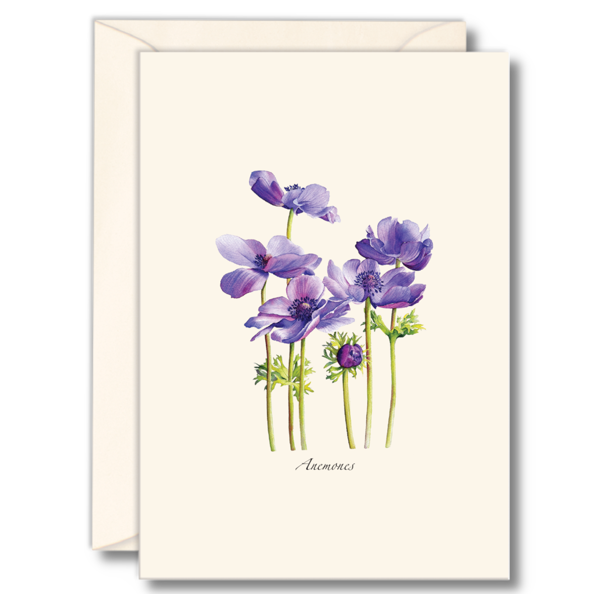 Anemones Notecard Set - 8 Cards & Envelopes