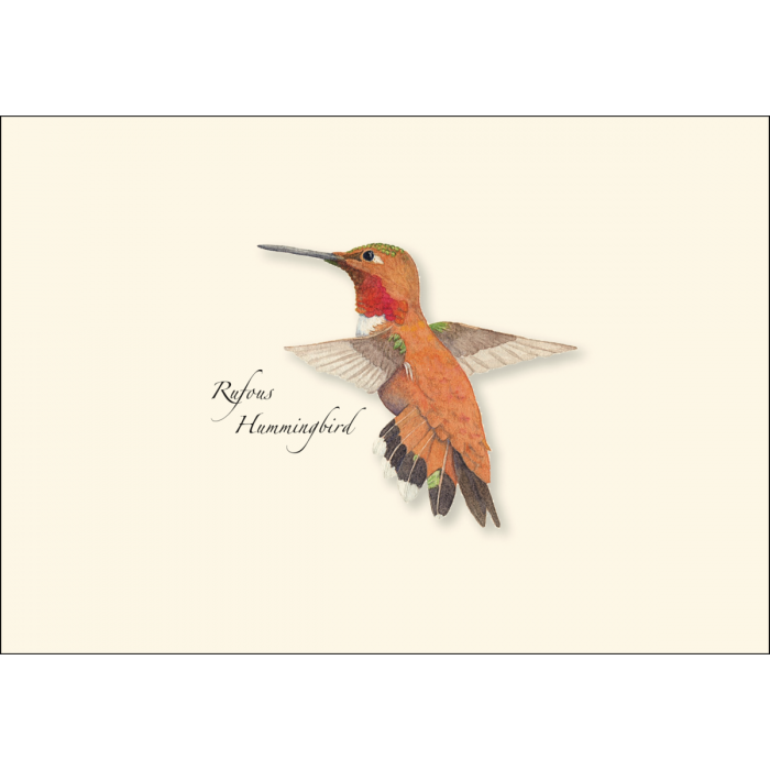 Western Hummingbird Assortment