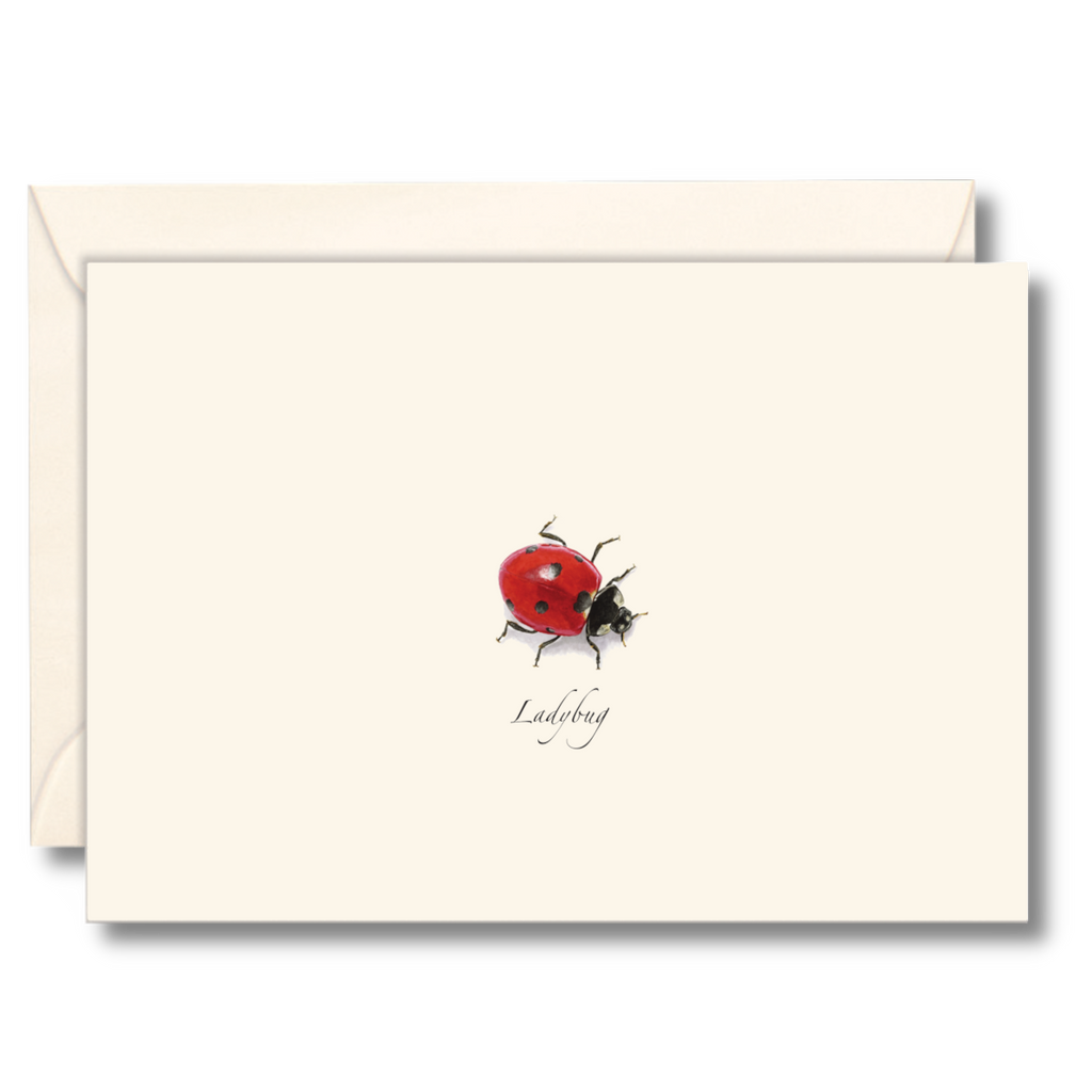 Ladybug Notecard Set
