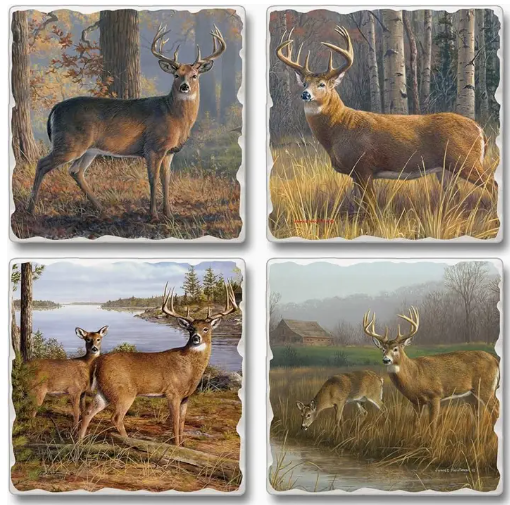 Thirstystone Coaster 4pk - Bluebonnet Fields