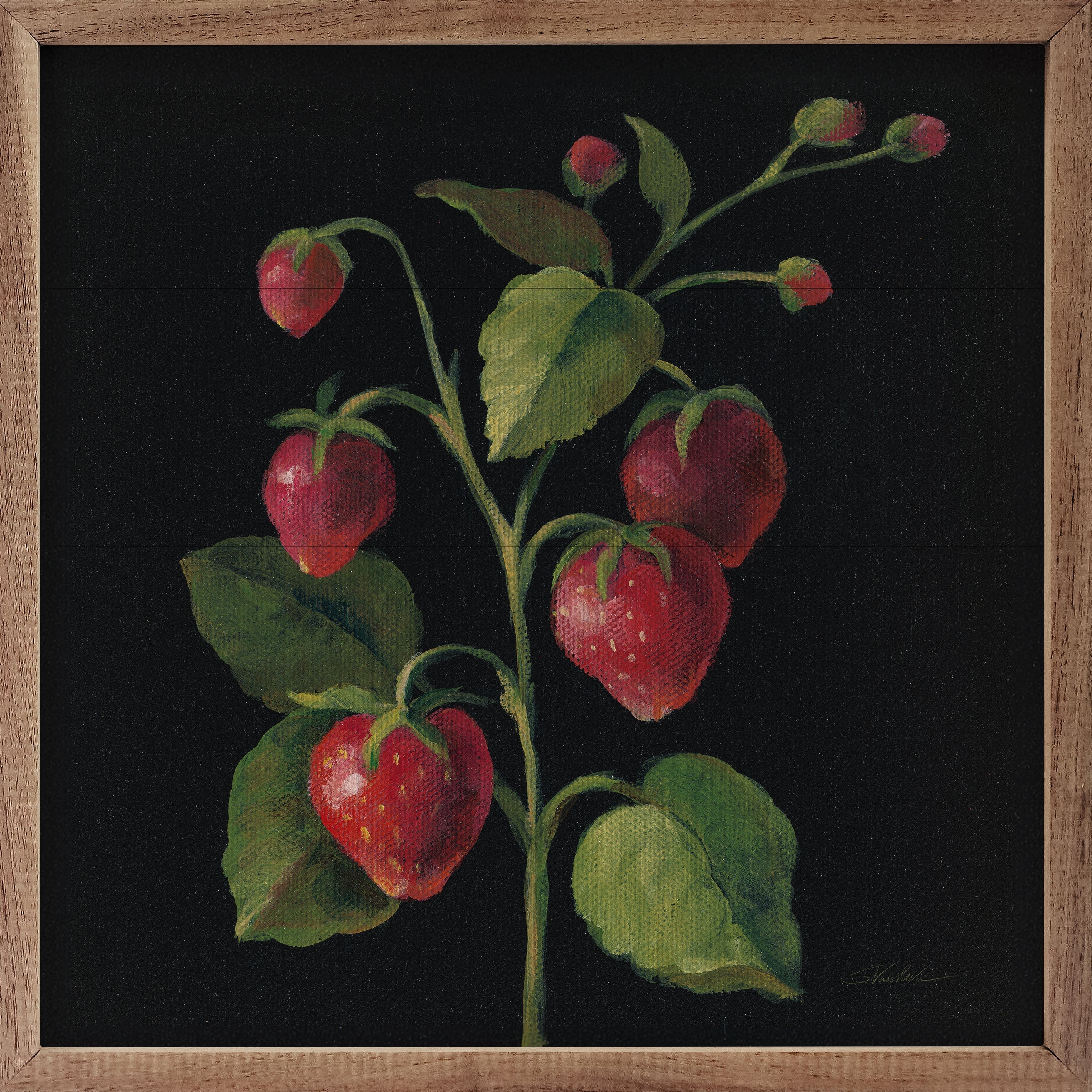 Fraise By Silvia Vassileva
