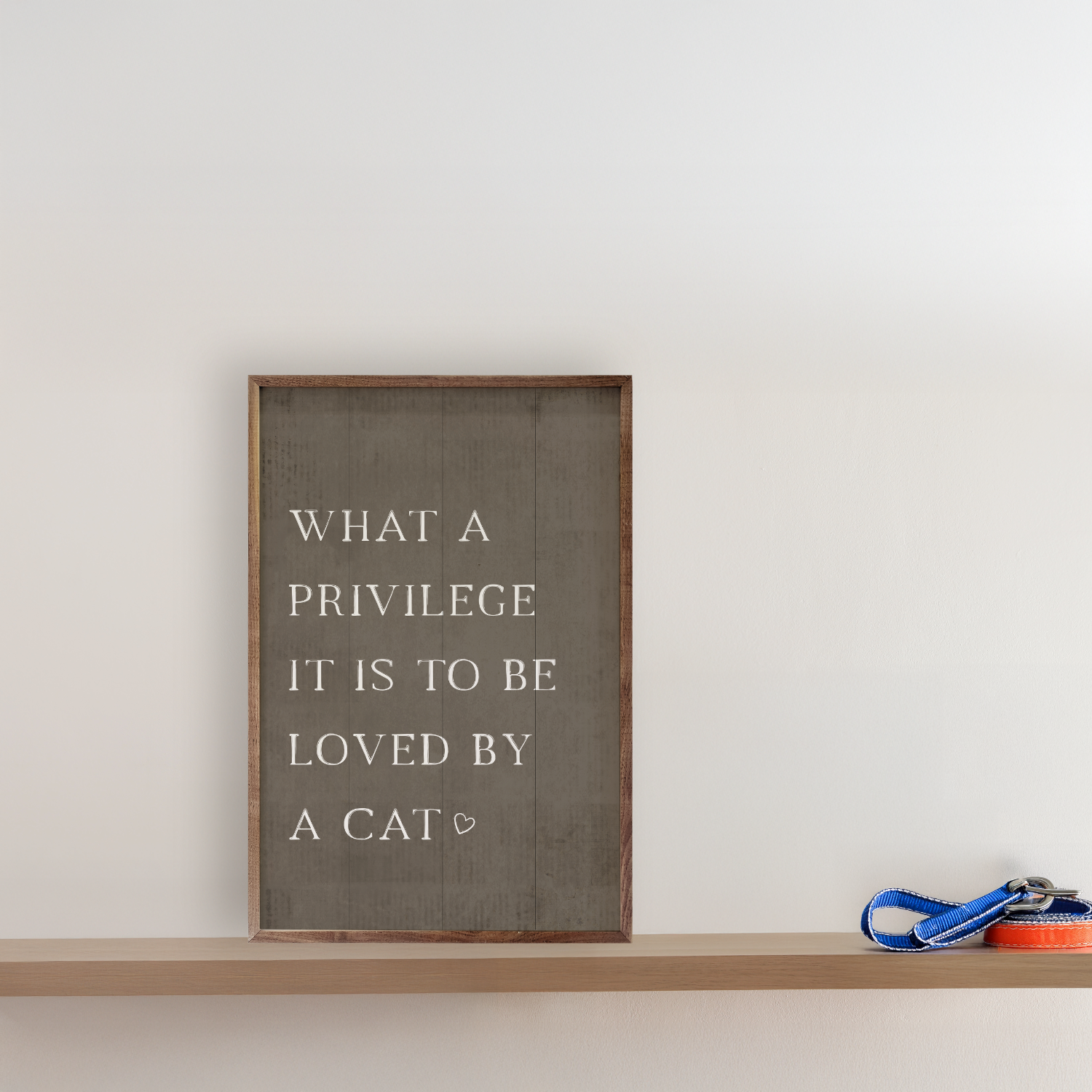 What A Privilege Cat