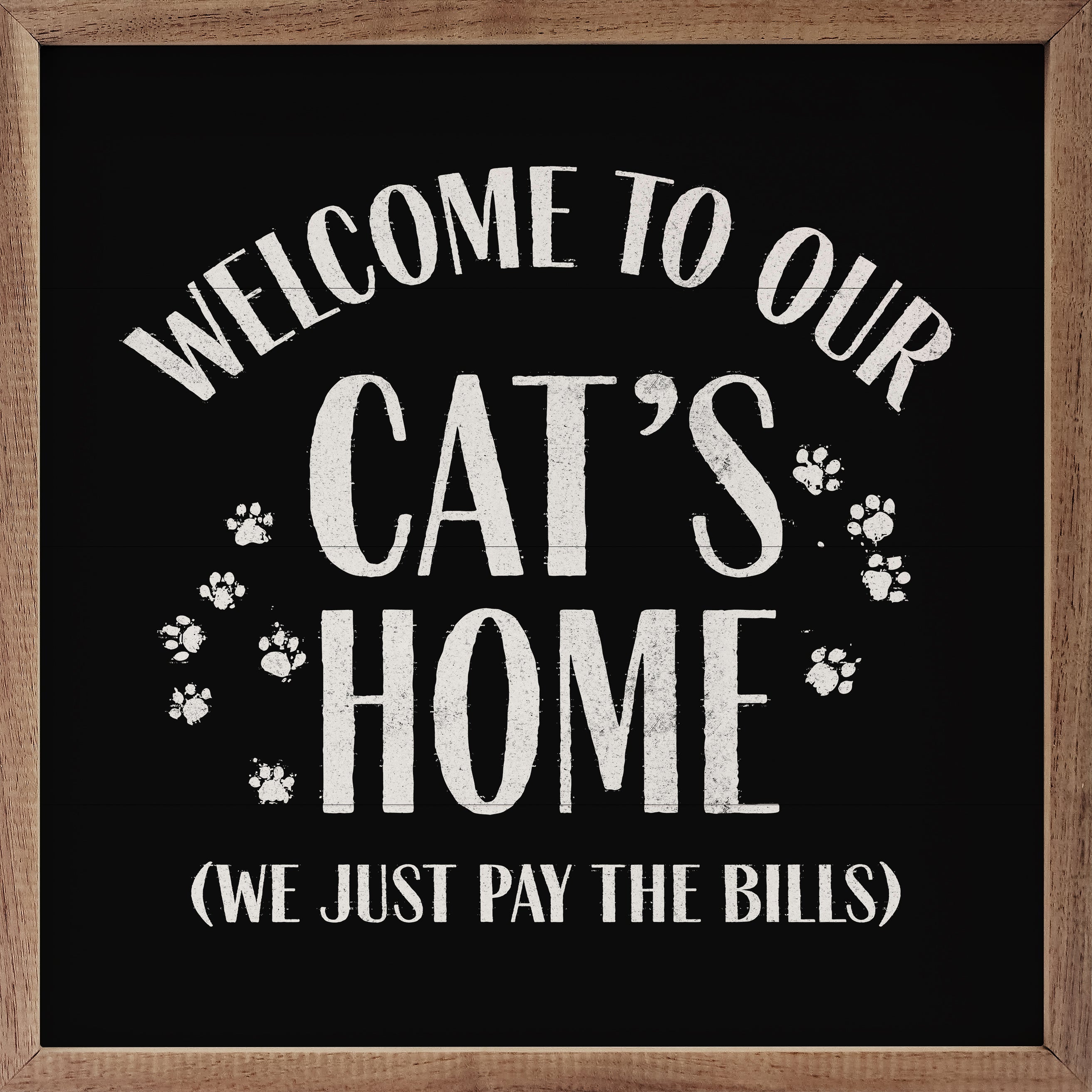 Welcome To Our Cat's Home