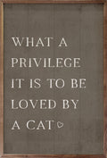 What A Privilege Cat