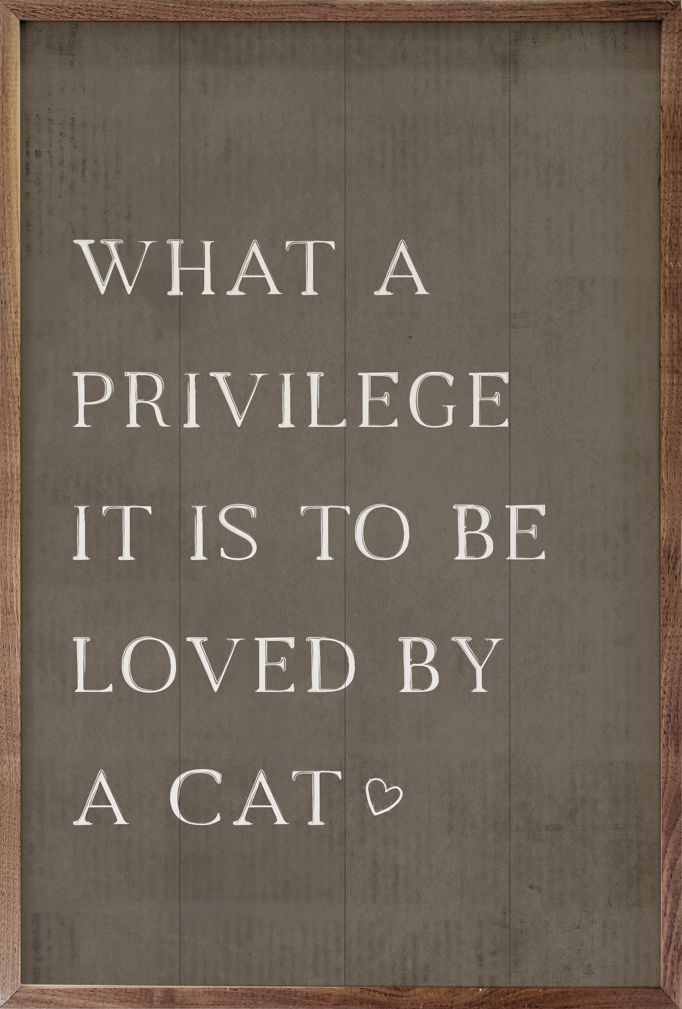 What A Privilege Cat