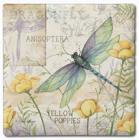 Thirstystone Coaster 4pk - Bluebonnet Fields