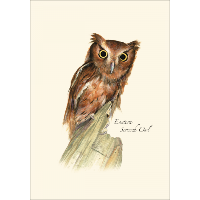 Owl Assortment II