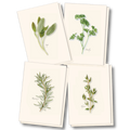 Herb Assortment