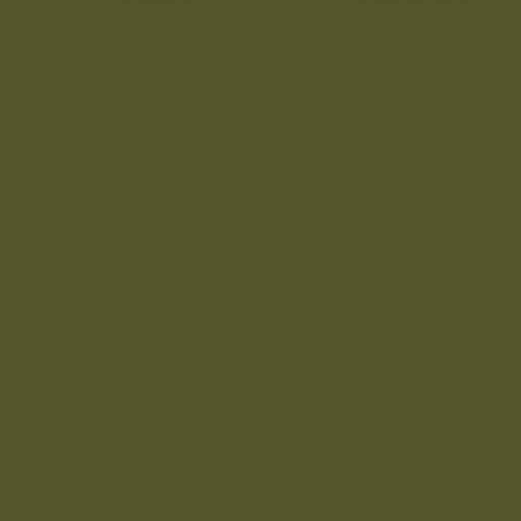 10" Straight Candles Set/2 Olive Paraffin