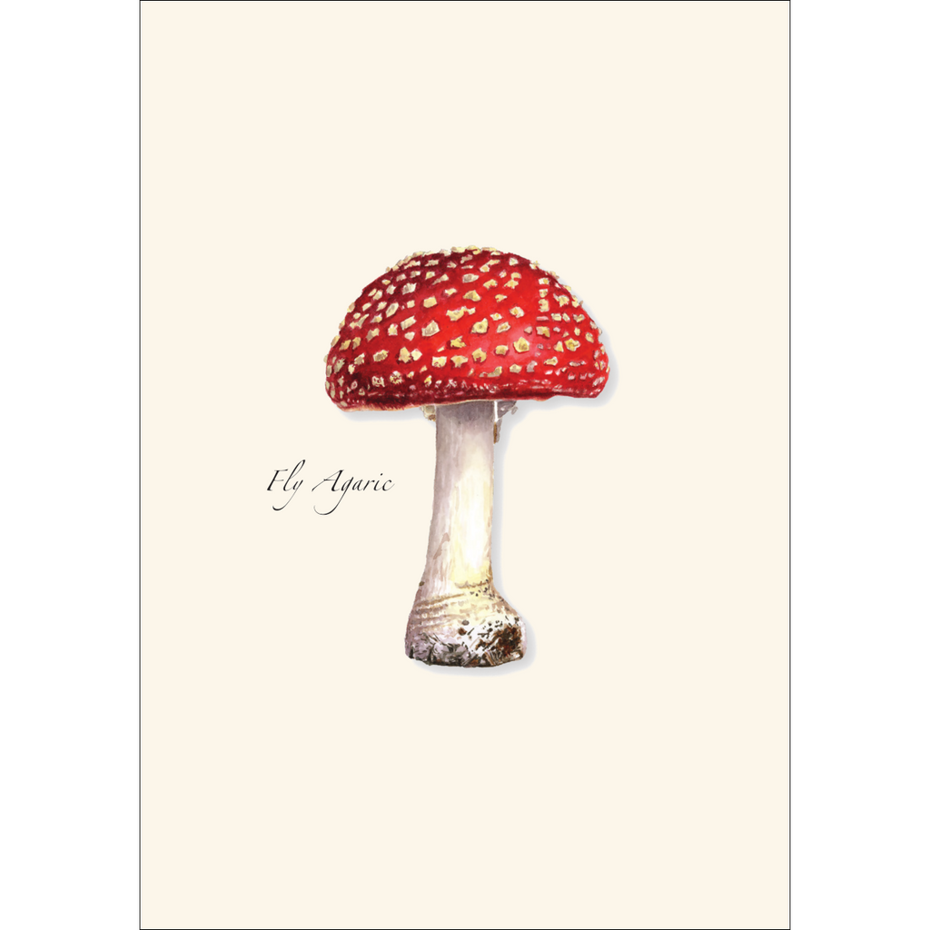 Fly Agaric Mushroom Notecard Set