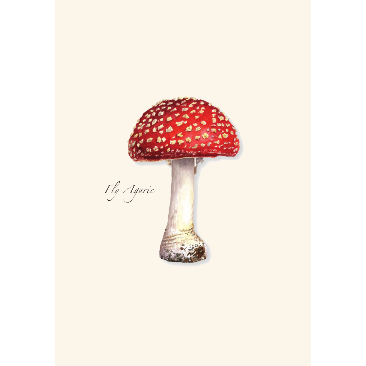 Fly Agaric Mushroom Notecard Set