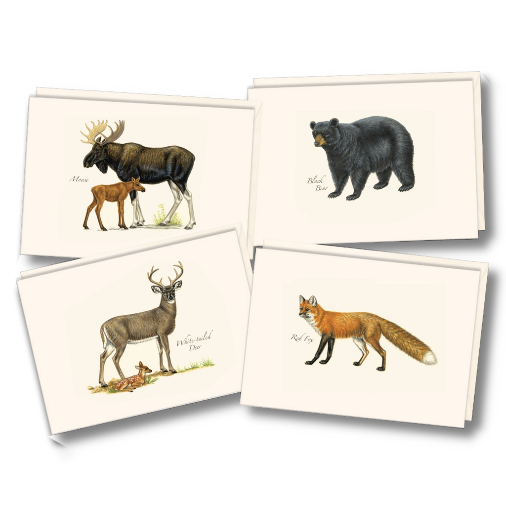 Mammal Assortment
