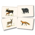 Mammal Assortment