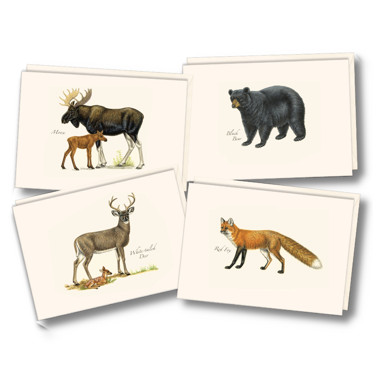 Mammal Assortment