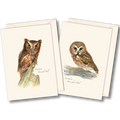 Owl Assortment II