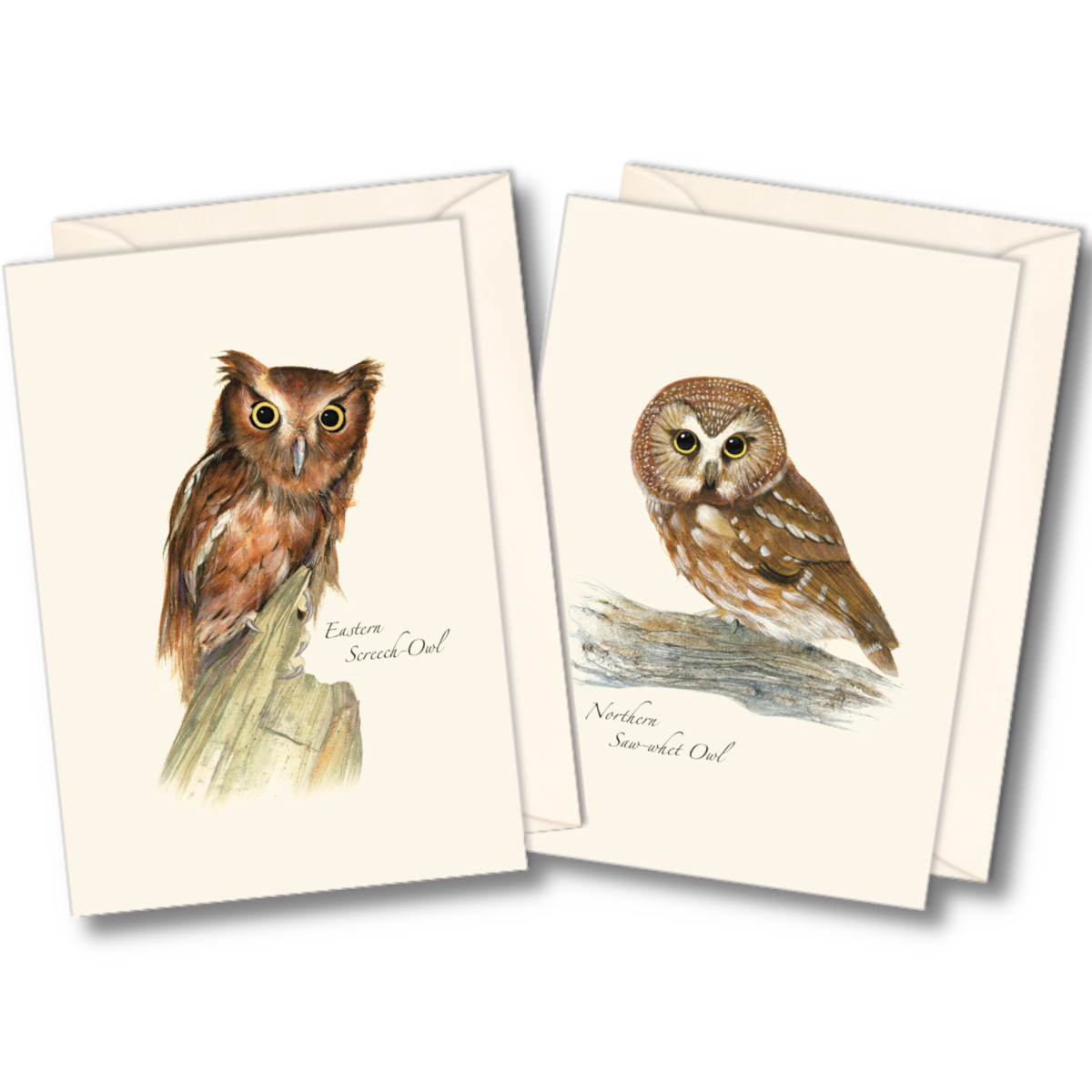 Owl Assortment II