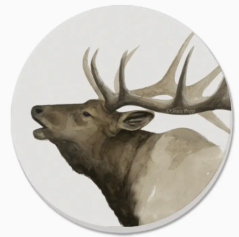 Thirstystone Coaster 4pk - Bluebonnet Fields