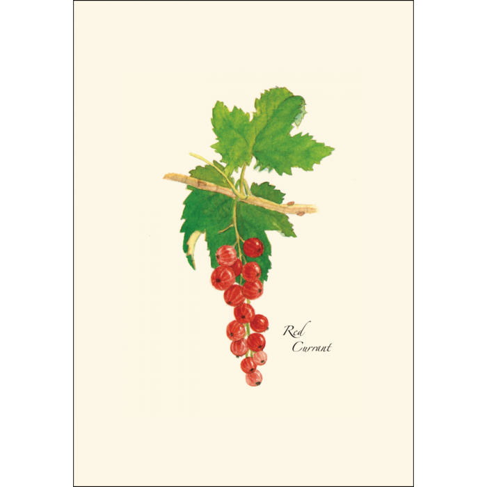Berry Assortment Notecard Set