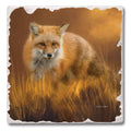 "Fox In The Grass" Single Tumbled Tile Coaster