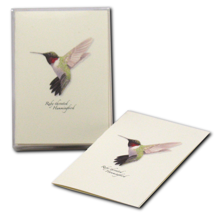 Ruby-throated Hummingbird