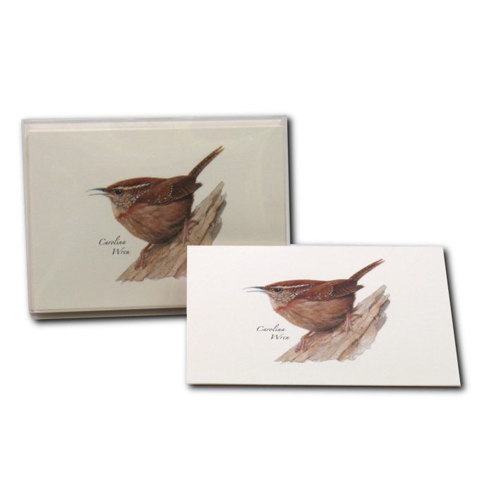 Carolina Wren