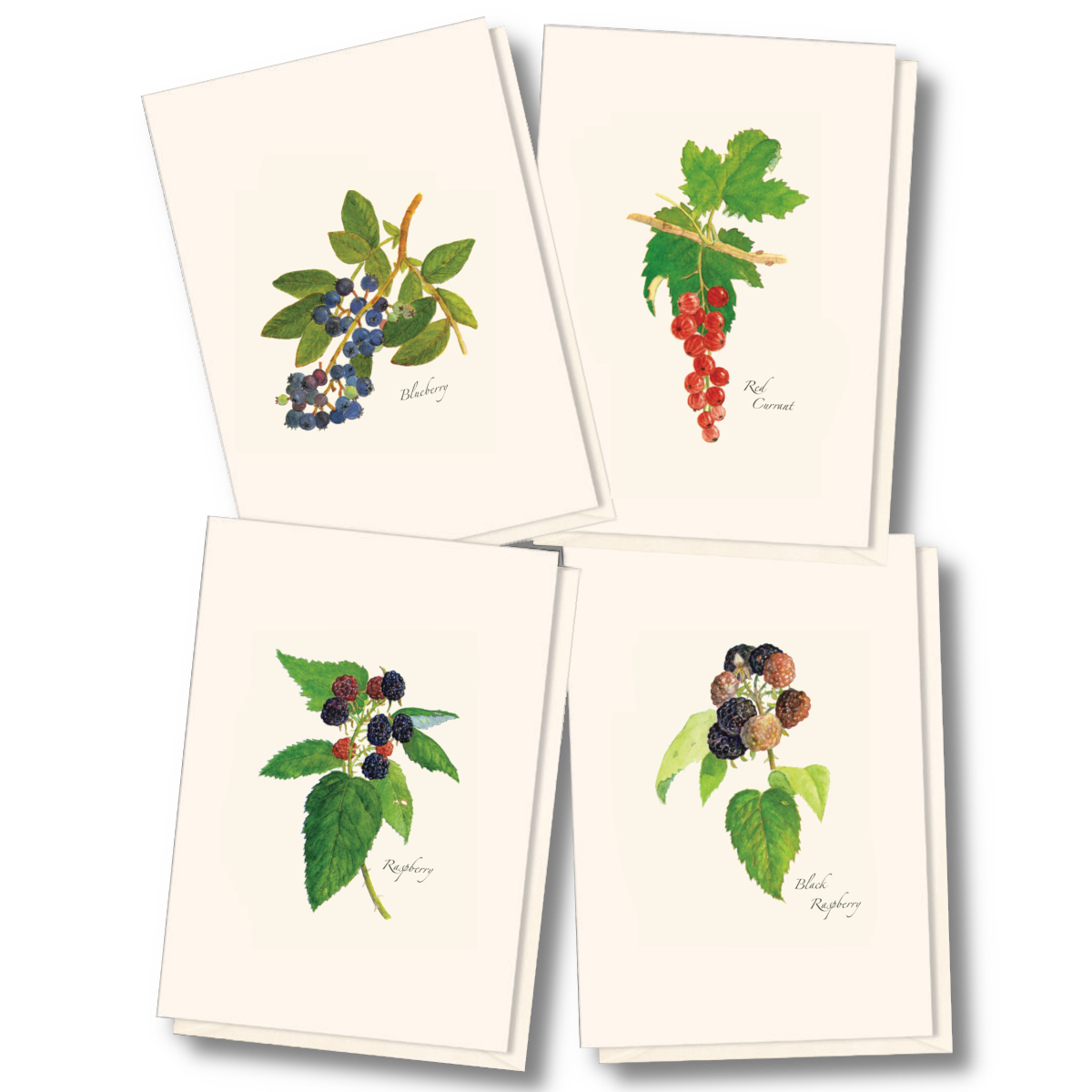 Berry Assortment Notecard Set