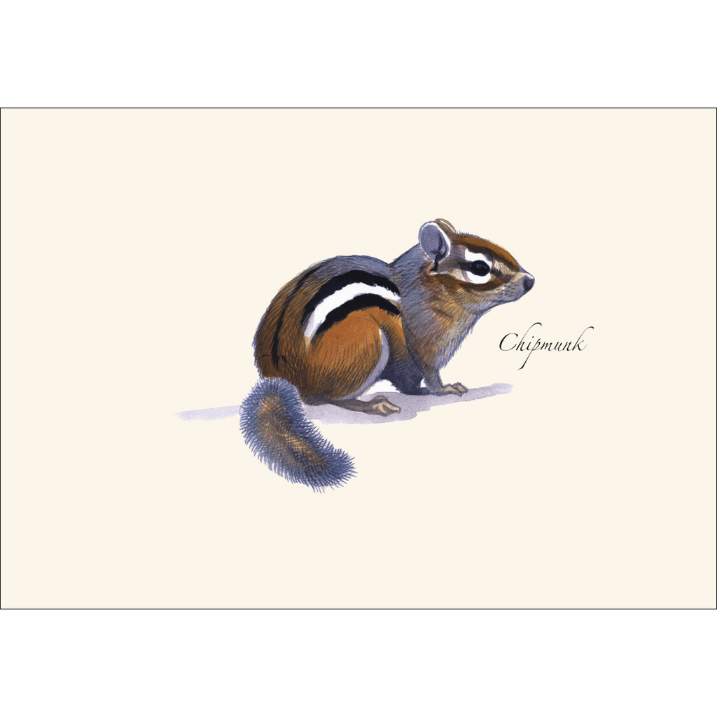Chipmunk Notecard Set